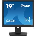 Asztali monitor, Iiyama Prolite monitor, TN,  19