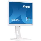 Asztali monitor, Iiyama Prolite monitor, TN, 19", 1280x1024, 5:4, 250cd, 5ms, VGA/DVI, Fehér, pivot, állítható mag., dönthető