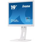 Asztali monitor, Iiyama Prolite monitor, TN, 19", 1280x1024, 5:4, 250cd, 5ms, VGA/DVI, Fehér, pivot, állítható mag., dönthető