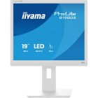 Asztali monitor, iiyama Prolite, TN,  19, B1980S-W1, 1280x1024, 5:4, 250cd, 3ms, HDMI/DP, fehér