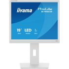 Asztali monitor, iiyama Prolite, TN,  19, B1980S-W1, 1280x1024, 5:4, 250cd, 3ms, HDMI/DP, fehér