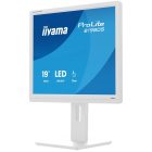 Asztali monitor, iiyama Prolite, TN,  19, B1980S-W1, 1280x1024, 5:4, 250cd, 3ms, HDMI/DP, fehér